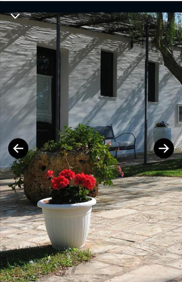 Room In Bb - Stunning Quadruple Room In Ancient Masseria Near The Sea In A Quiet Olive Trees Ostuni Exterior foto