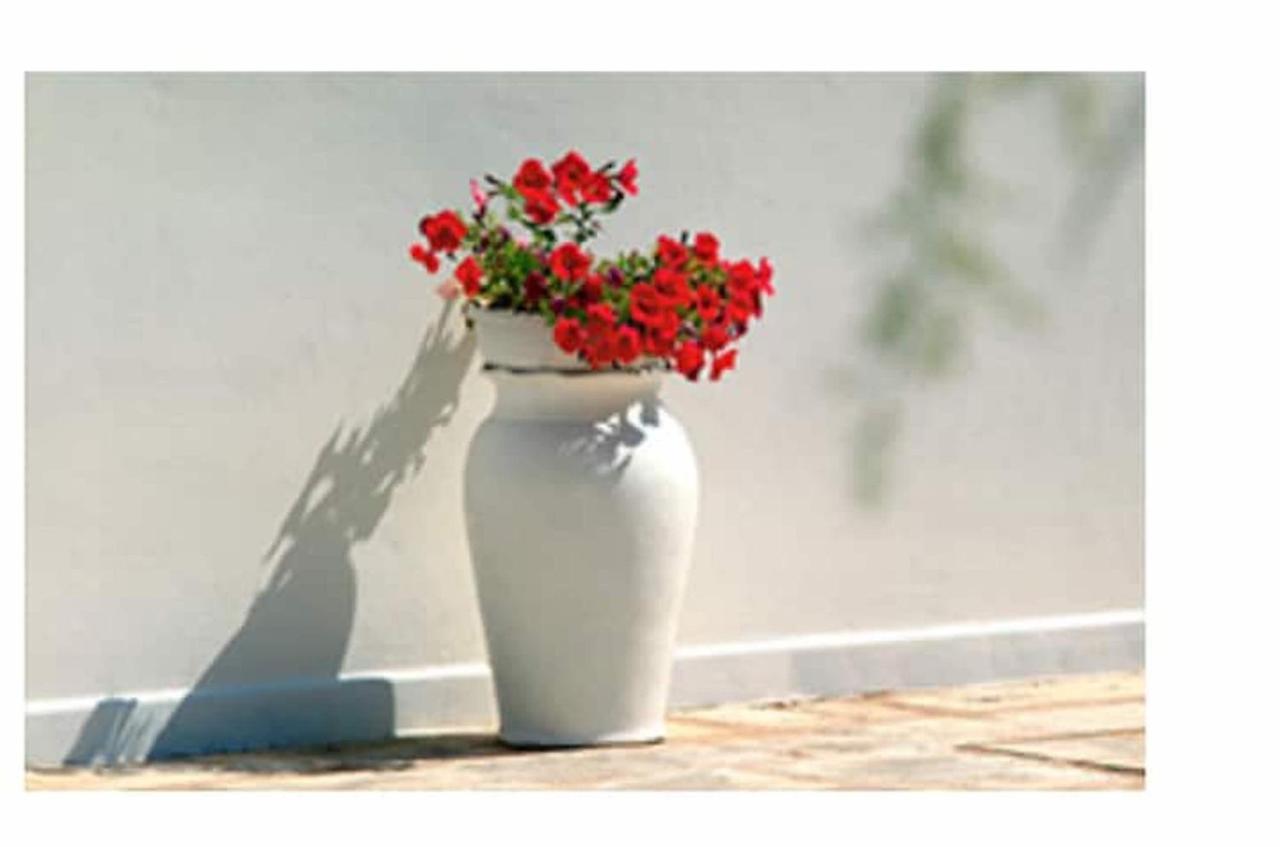 Room In Bb - Stunning Quadruple Room In Ancient Masseria Near The Sea In A Quiet Olive Trees Ostuni Exterior foto